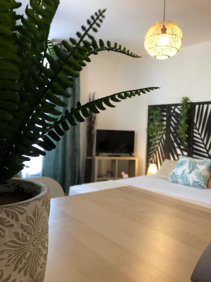 Equateur-Centre Jaude Apartman Clermont-Ferrand Kültér fotó