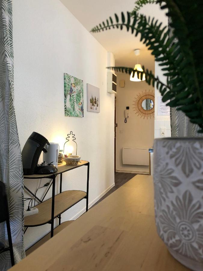 Equateur-Centre Jaude Apartman Clermont-Ferrand Kültér fotó